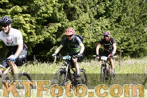 Photo 4246085