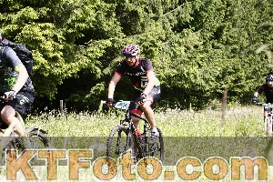 Photo 4246086