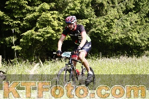 Photo 4246088