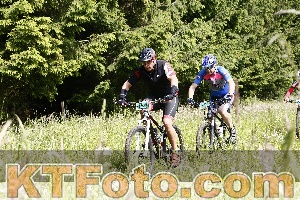 Photo 4246089