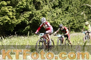 Photo 4246095