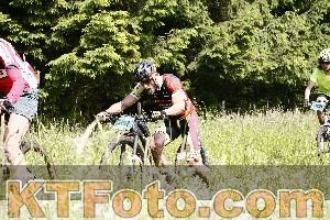 Photo 4246099