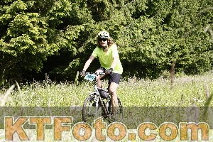Photo 4246101