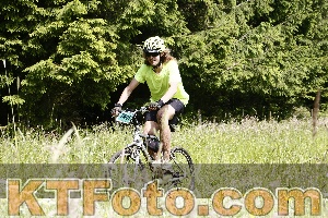 Photo 4246102