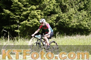 Photo 4246115