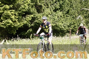 Photo 4246118