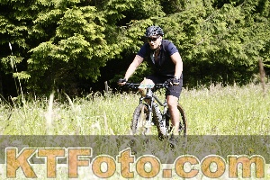 Photo 4246129