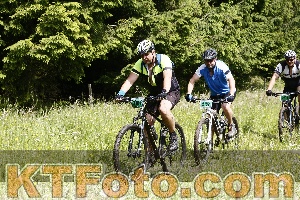 Photo 4246130