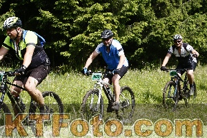 Photo 4246134