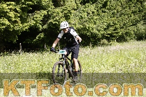 Photo 4246158