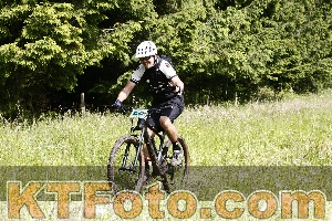 Photo 4246159