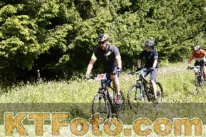 Photo 4246161