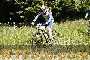 Photo 4246180