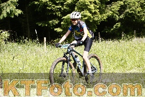 Photo 4246194