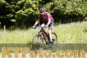 Photo 4246196