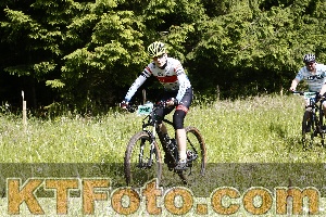 Photo 4246205