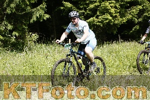 Photo 4246211