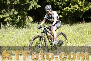 Photo 4246214