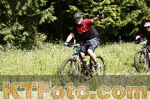 Photo 4246217