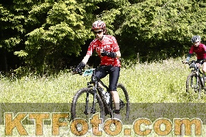 Photo 4246224