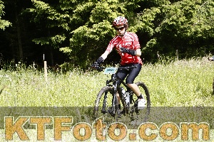 Photo 4246225