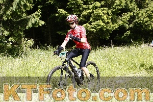 Photo 4246226
