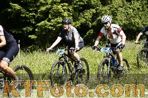 Photo 4246232