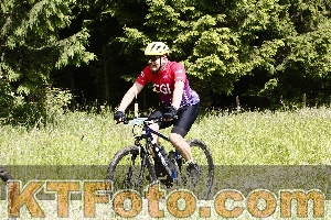 Foto 4246252