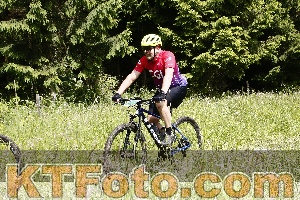 Foto 4246253
