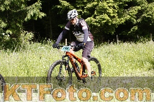 Photo 4246279