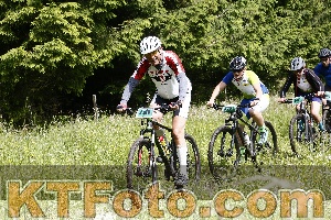 Photo 4246293