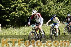 Photo 4246294