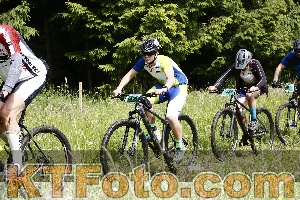 Photo 4246297