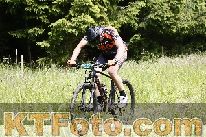 Photo 4246329