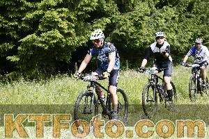 Photo 4246332
