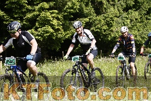 Photo 4246444