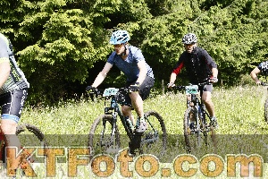 Photo 4246452