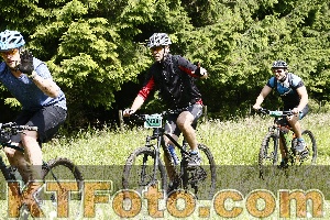 Photo 4246454