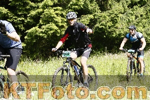 Photo 4246455