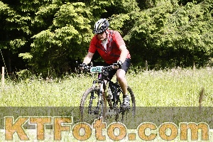 Photo 4246462