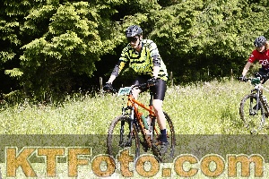 Photo 4246477