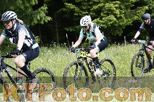 Photo 4246548