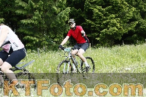 Photo 4246593