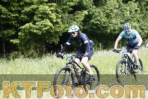 Photo 4246594