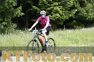 Photo 4246601