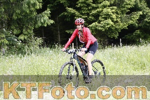 Photo 4246604