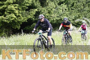Photo 4246621