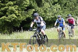 Photo 4246634