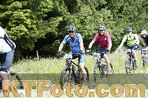 Photo 4246637