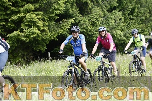 Photo 4246638